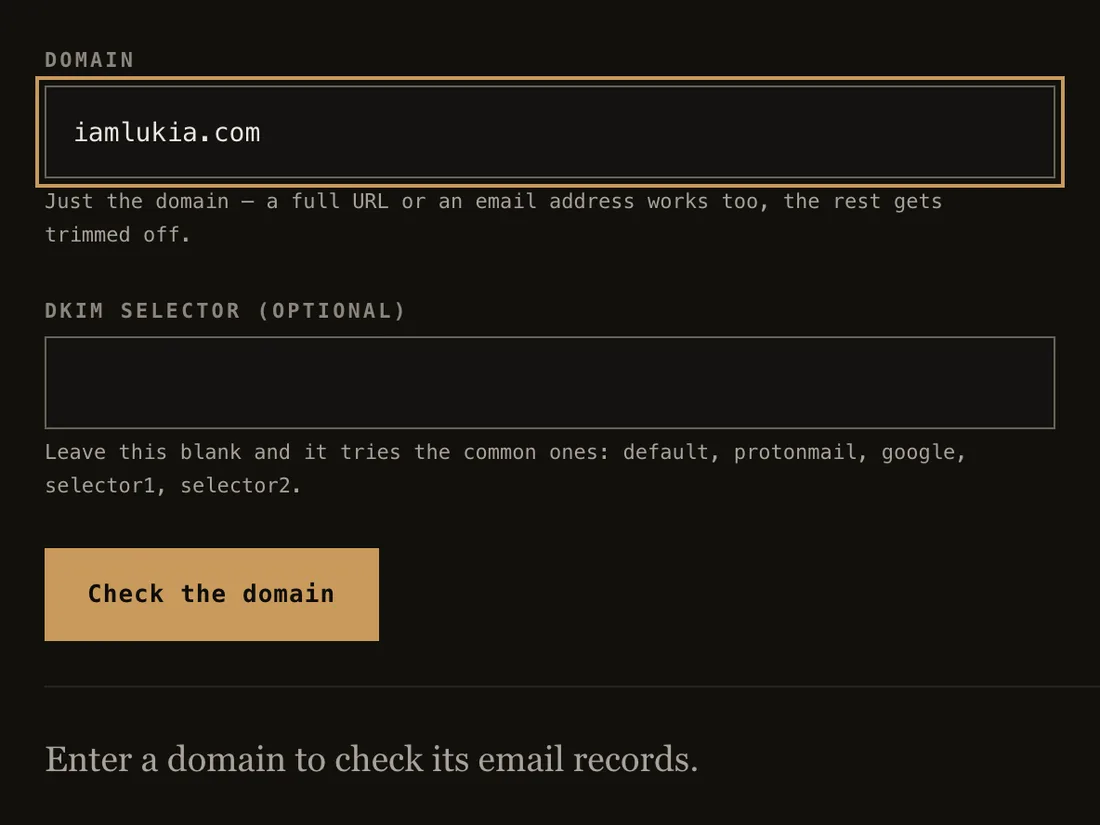 The email DNS checker's lookup form, with a domain entered and an optional DKIM selector field below it.
